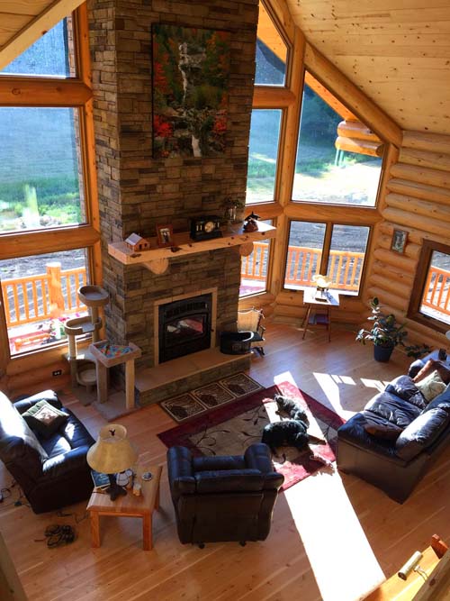 A spacious, warm log home living room with large windows allowing natural light. There are two leather sofas, a rug on the wooden floor, a fireplace with a stone surround, and various plants and furniture scattered around.