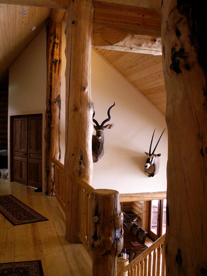 Rustic wooden lodge interior with mounted antelope heads