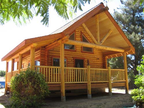 Wooden cabin surrounded by trees and greenery in daylight.