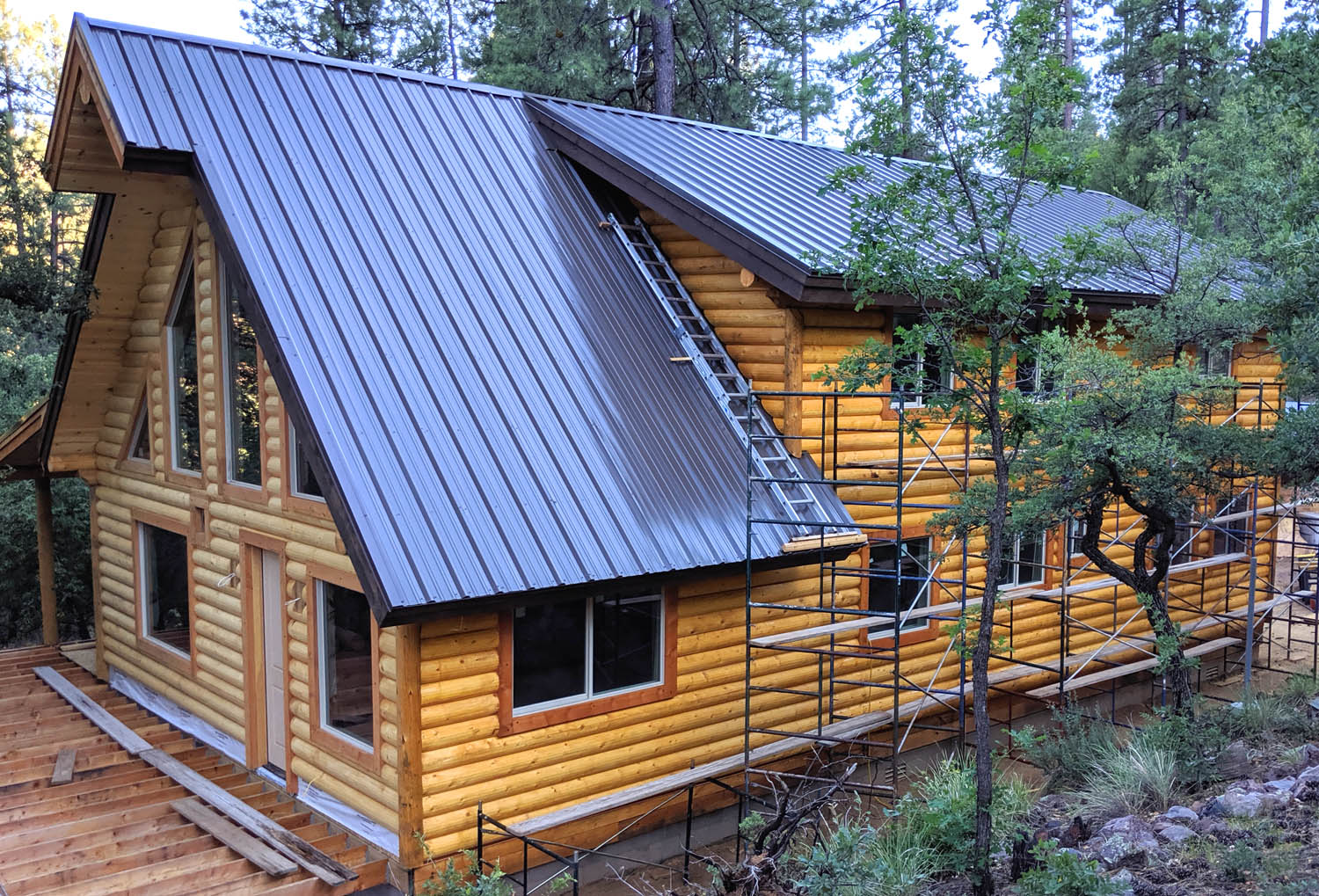 Beautiful log cabin surrounded by pine forest in rural setting