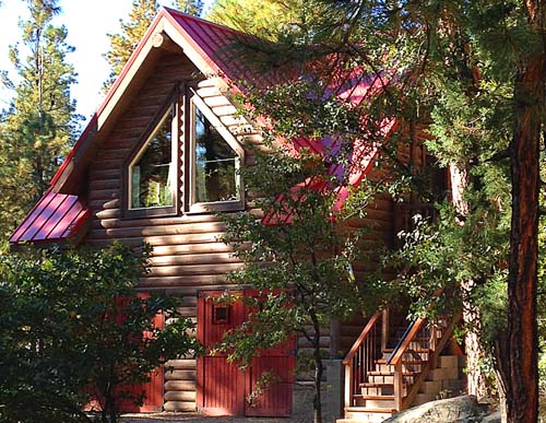Rustic wooden cabin surrounded by pine trees in the forest