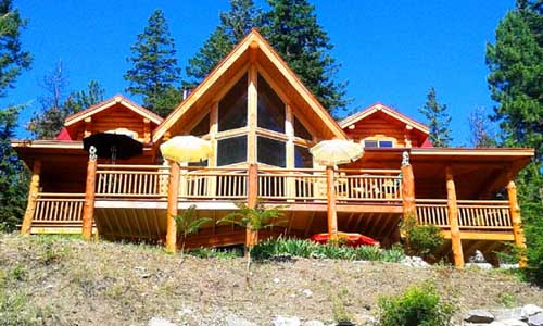 Rustic wooden cabin surrounded by pine trees in daylight